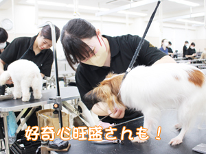 １年生、今日もがんばっています！